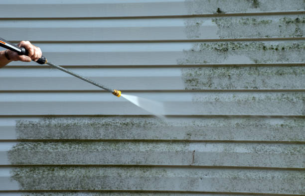 Best Attic Mold Removal  in Folkston, GA