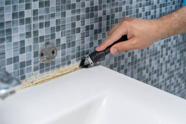 Best Mold Removal Company Near Me  in Folkston, GA