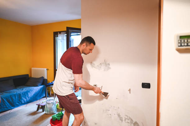 Best Residential Mold Removal  in Folkston, GA